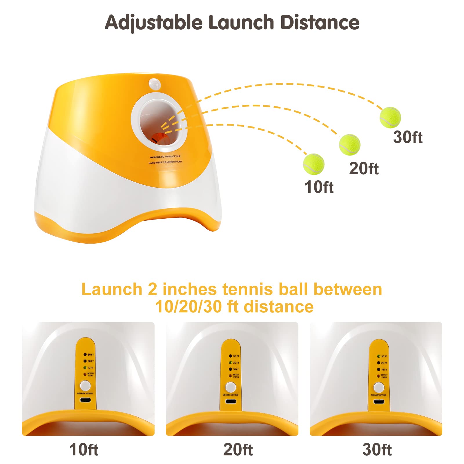 Lanceur de balles interactif p - Catapult Launcher Toy avis et prix